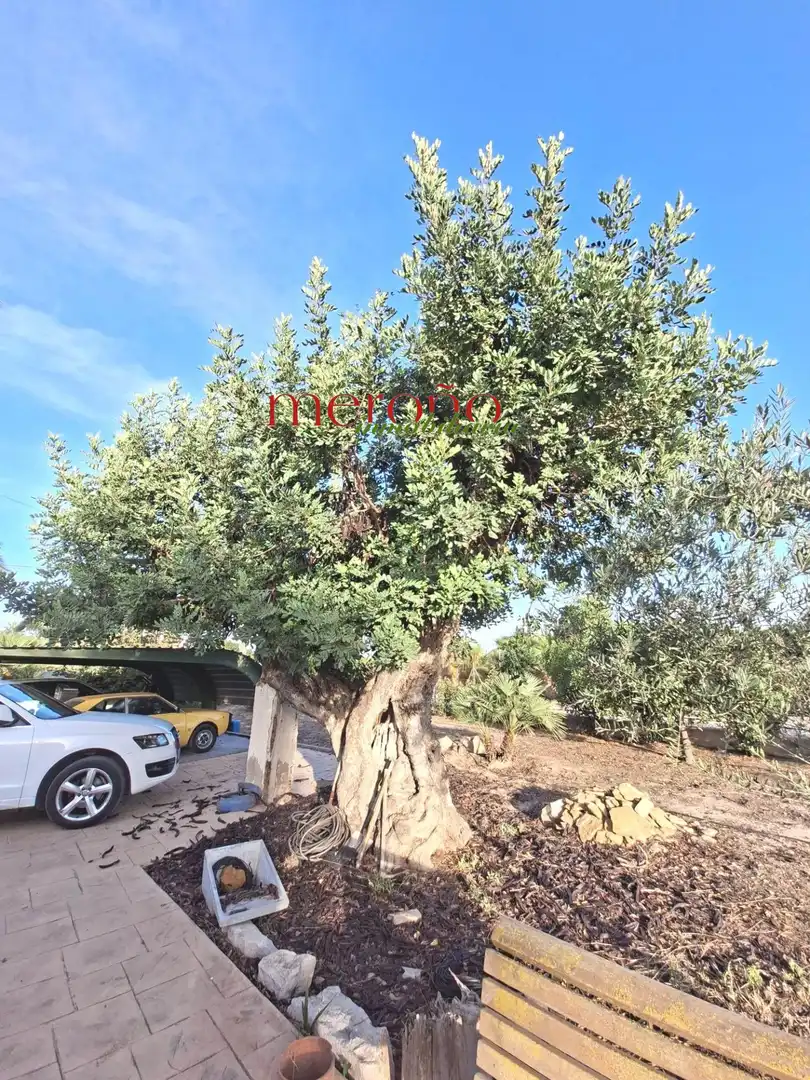 Villa avec piscine à louer à La Foia - Daimés - Asprella, imagen 28
