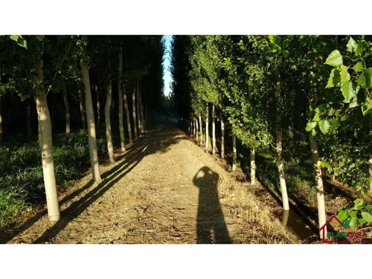 Exterior view of Land for sale in Purullena