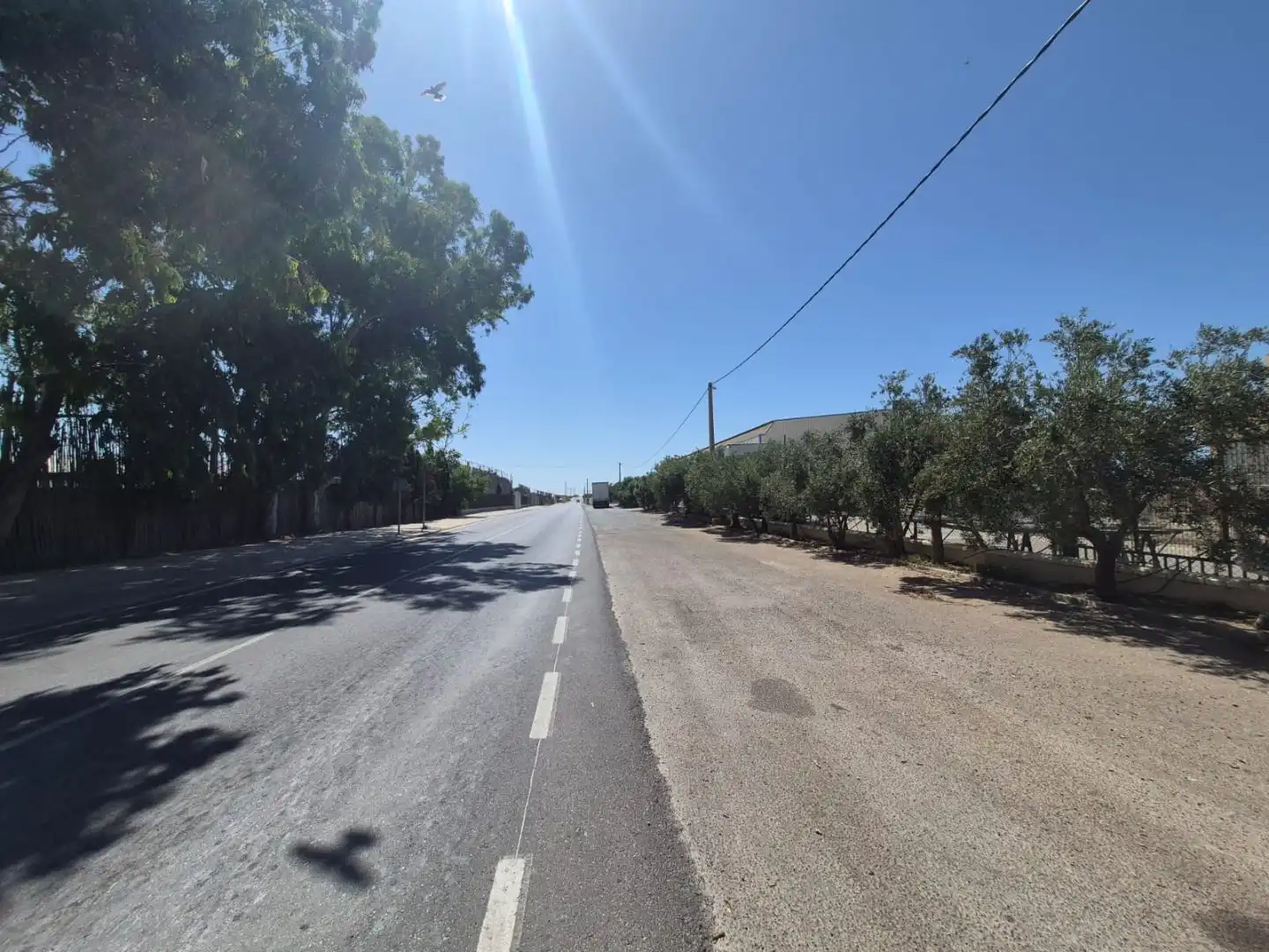 Commercial properties for rent in Paraje Cueva del Gato, 4, Balerma