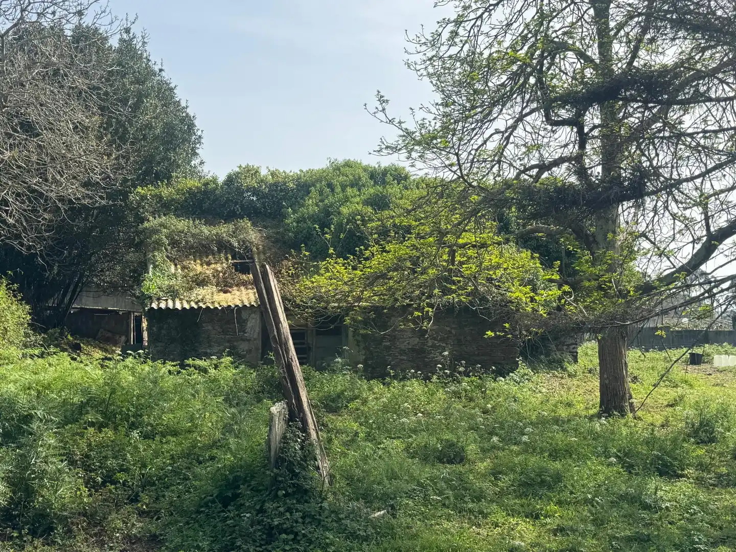 Casa rústica en venda a Lugar Pena 31, imagen 13