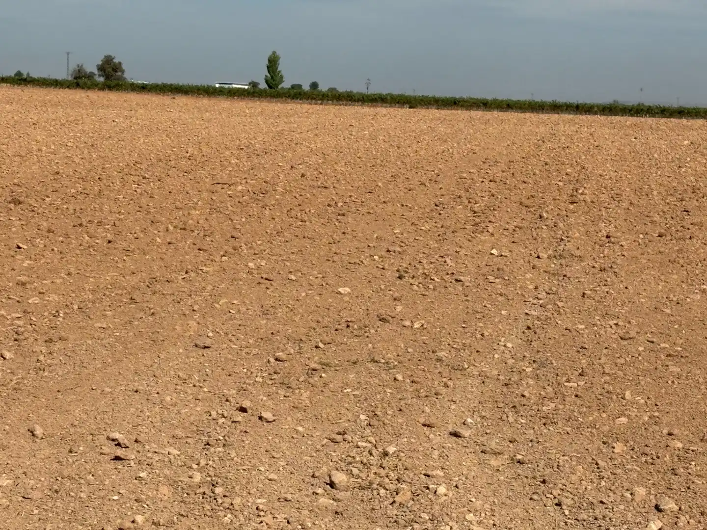 Rural land for sale in CM-400 580, imagen 6