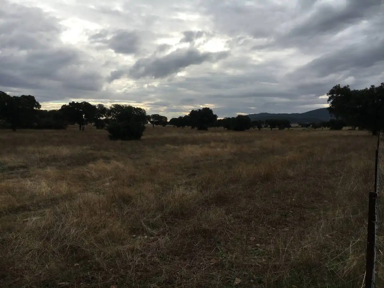 Terreny rústic en venda a Carretera  PERALEDA DEL ZAUCEJO, imagen 5