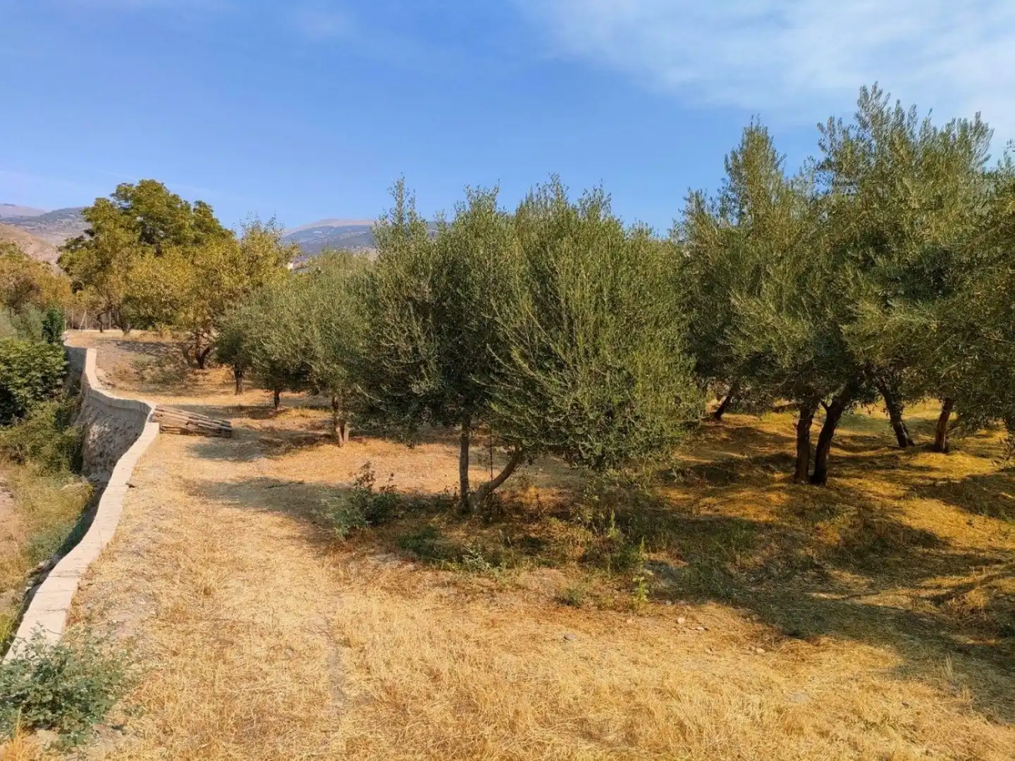 Grundstücke und Bauplätze zum Verkauf in Ugíjar, imagen 3