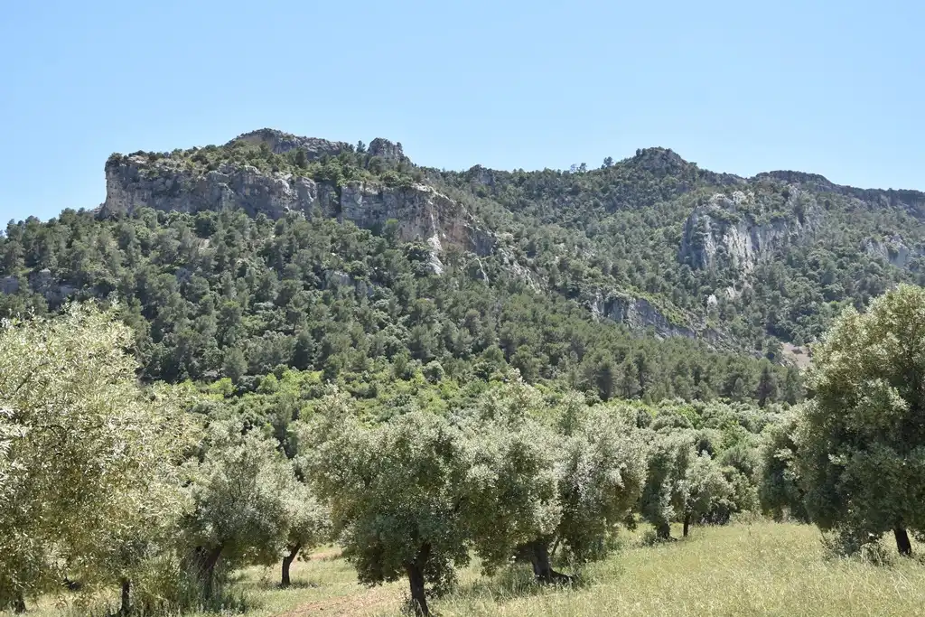 Terreni e lotti in vendita a Valderrobres, imagen 5
