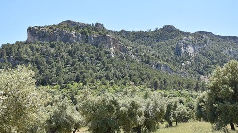 Finca rústica con maset en Valderrobres, immagine 5
