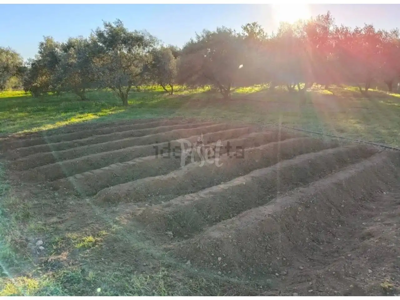 Terreno rústico en venta en El Pla de Santa Maria, imagen 10