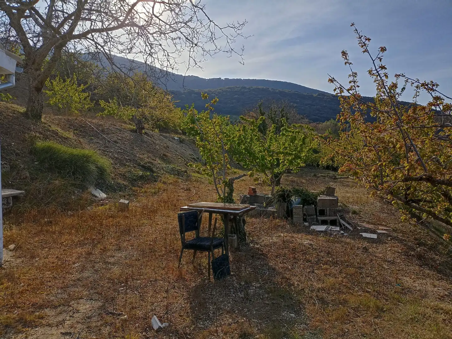 Land for sale in Torres