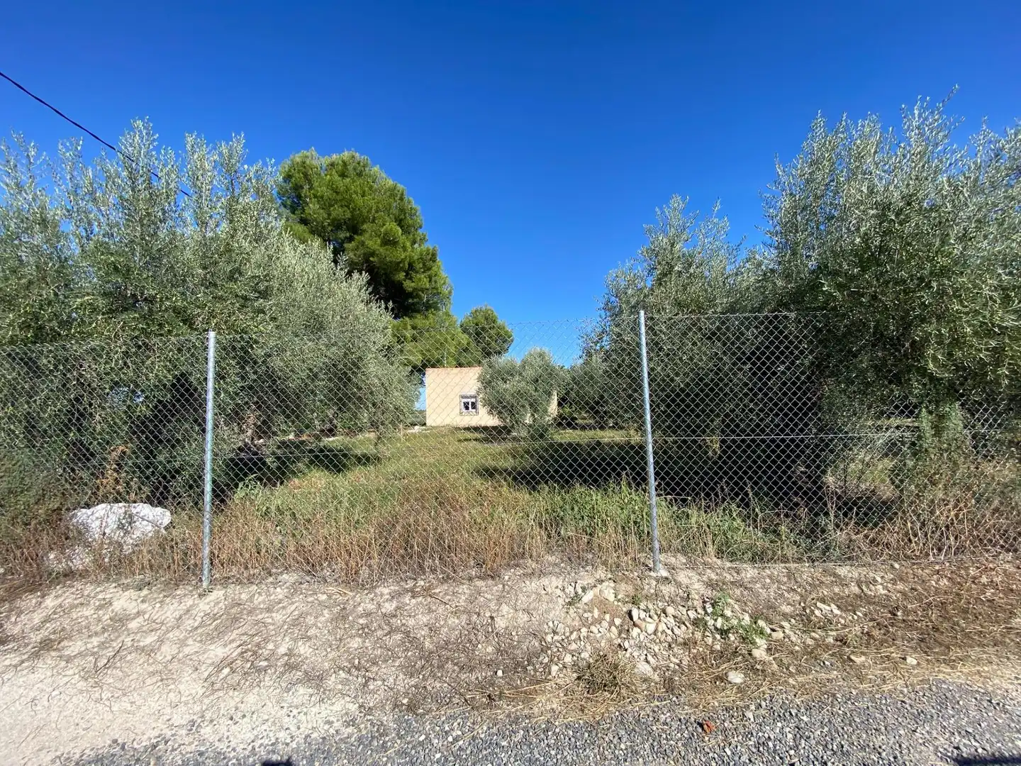 Terrain rustique à vendre à Moratalla, imagen 11