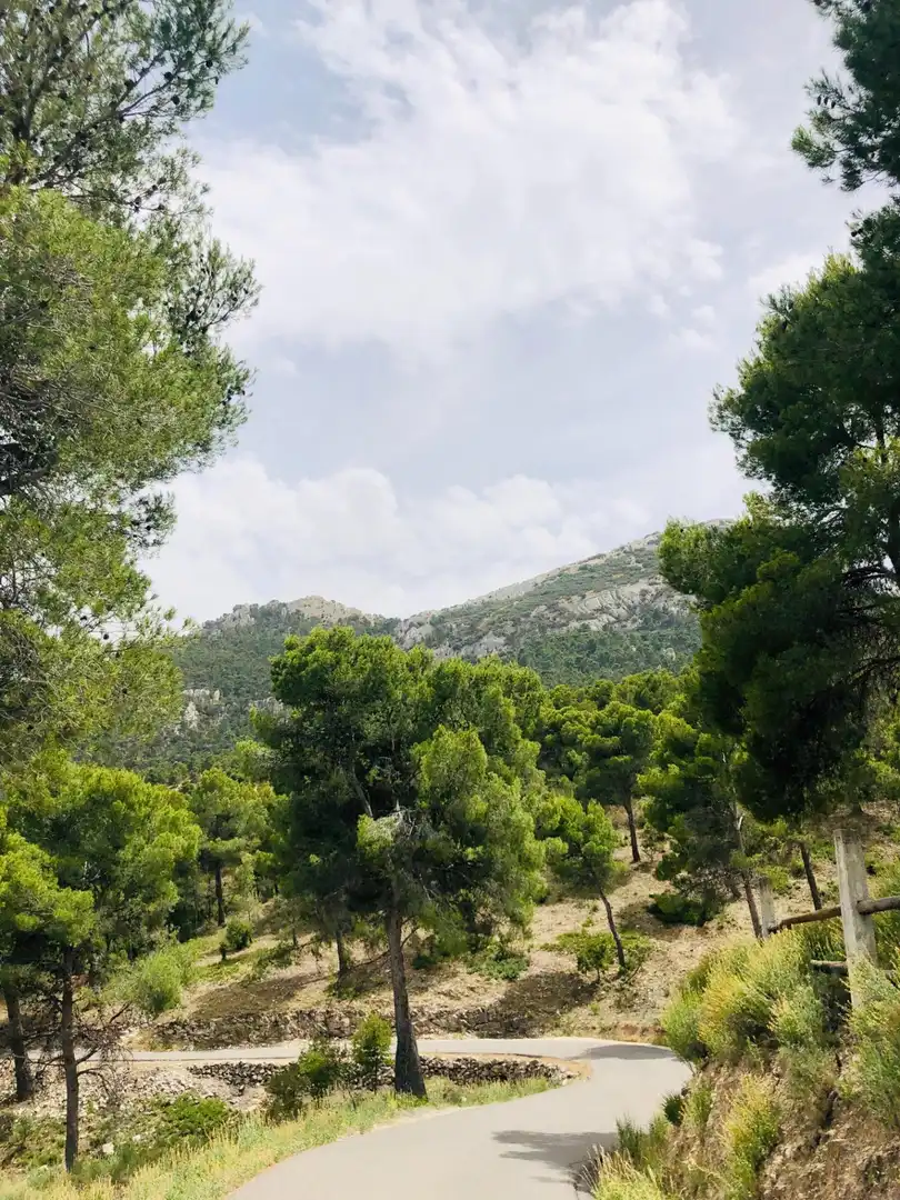Detached house for sale in Tibi, imagen 8