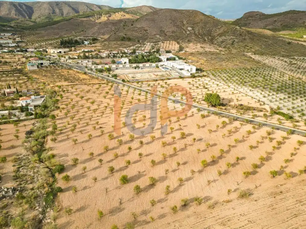 Rural land for sale in Oria, imagen 2