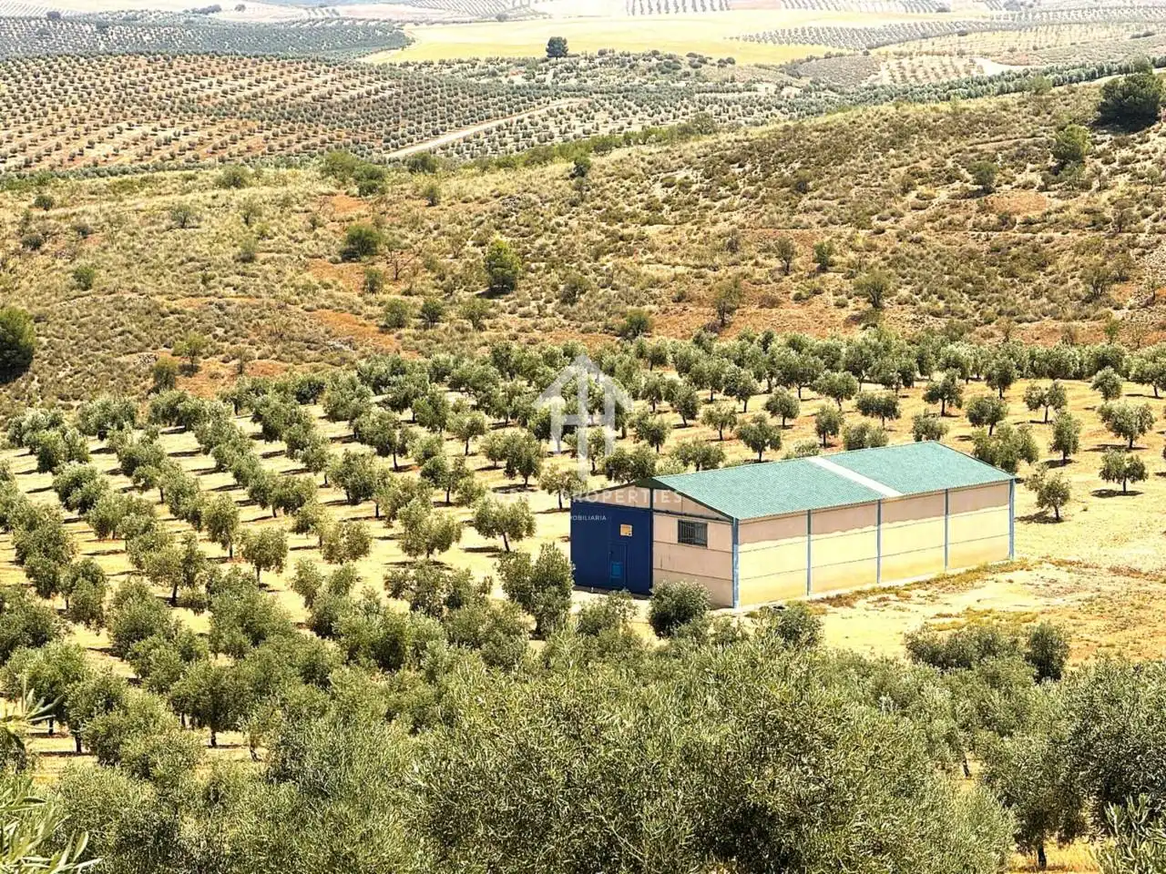 Rustikales Grundstück zum Verkauf in Moraleda de Zafayona, imagen 6