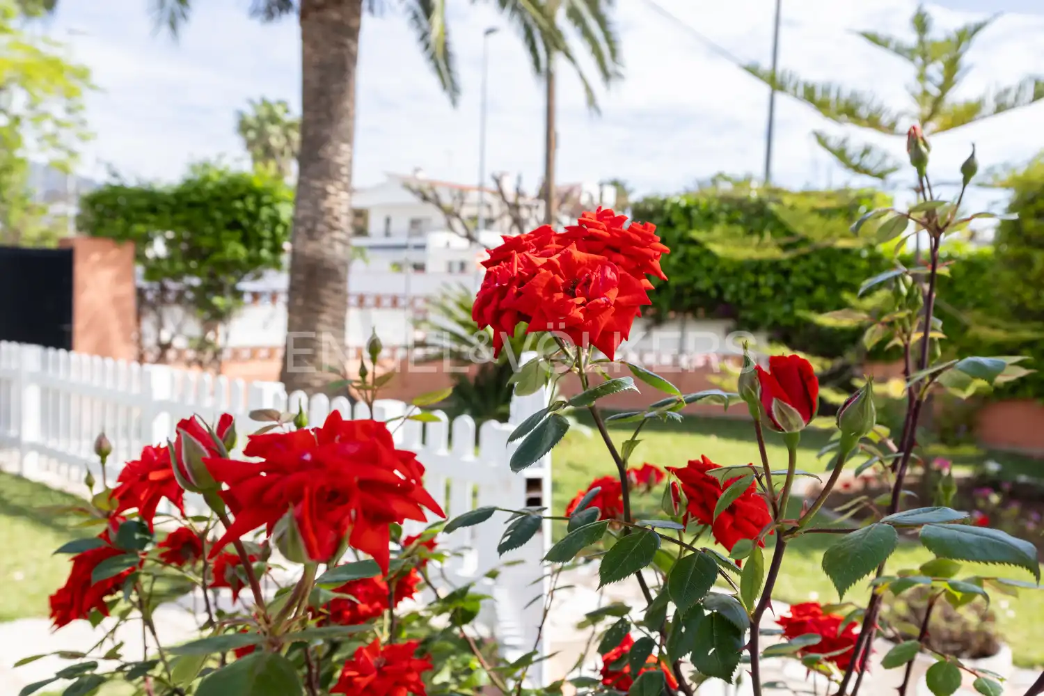 Jardí de Casa o xalet en venda en Benicasim / Benicàssim amb Calefacció, Jardí privat i Terrassa