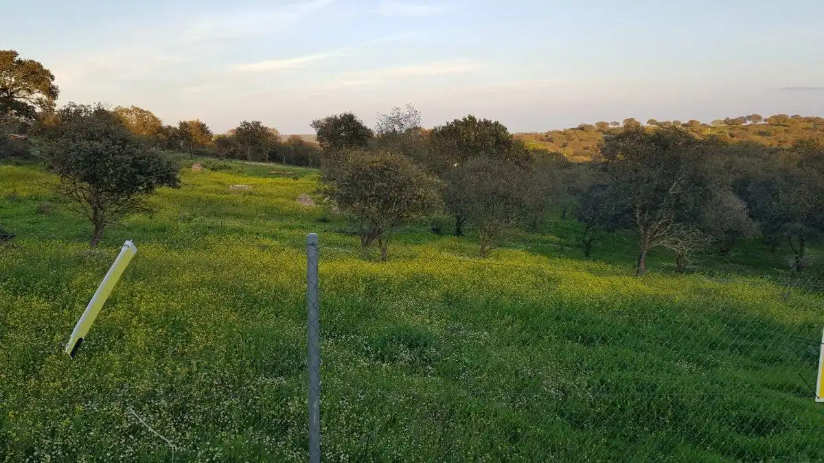 Terreni e lotti in vendita a Calle del Hortelano, imagen 7