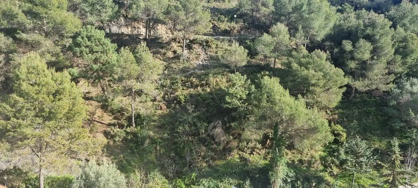 Detached homes for sale in Cómpeta  with Terrace and Swimming Pool