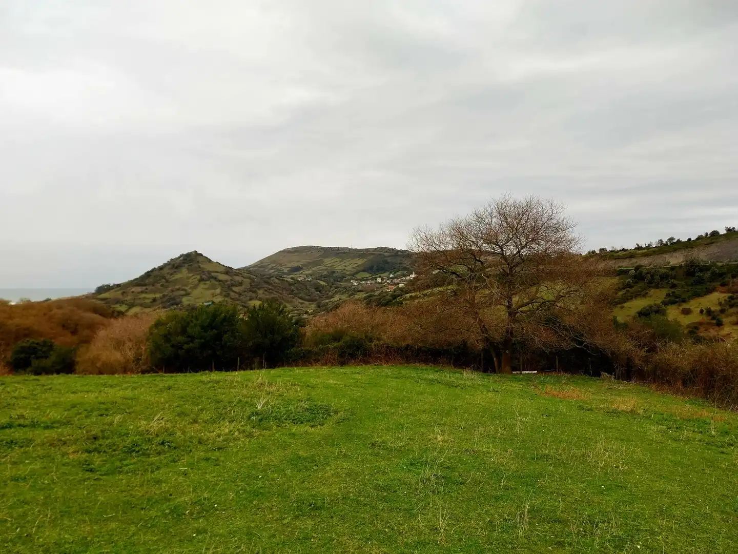 Rural land for sale in Zierbena, imagen 13