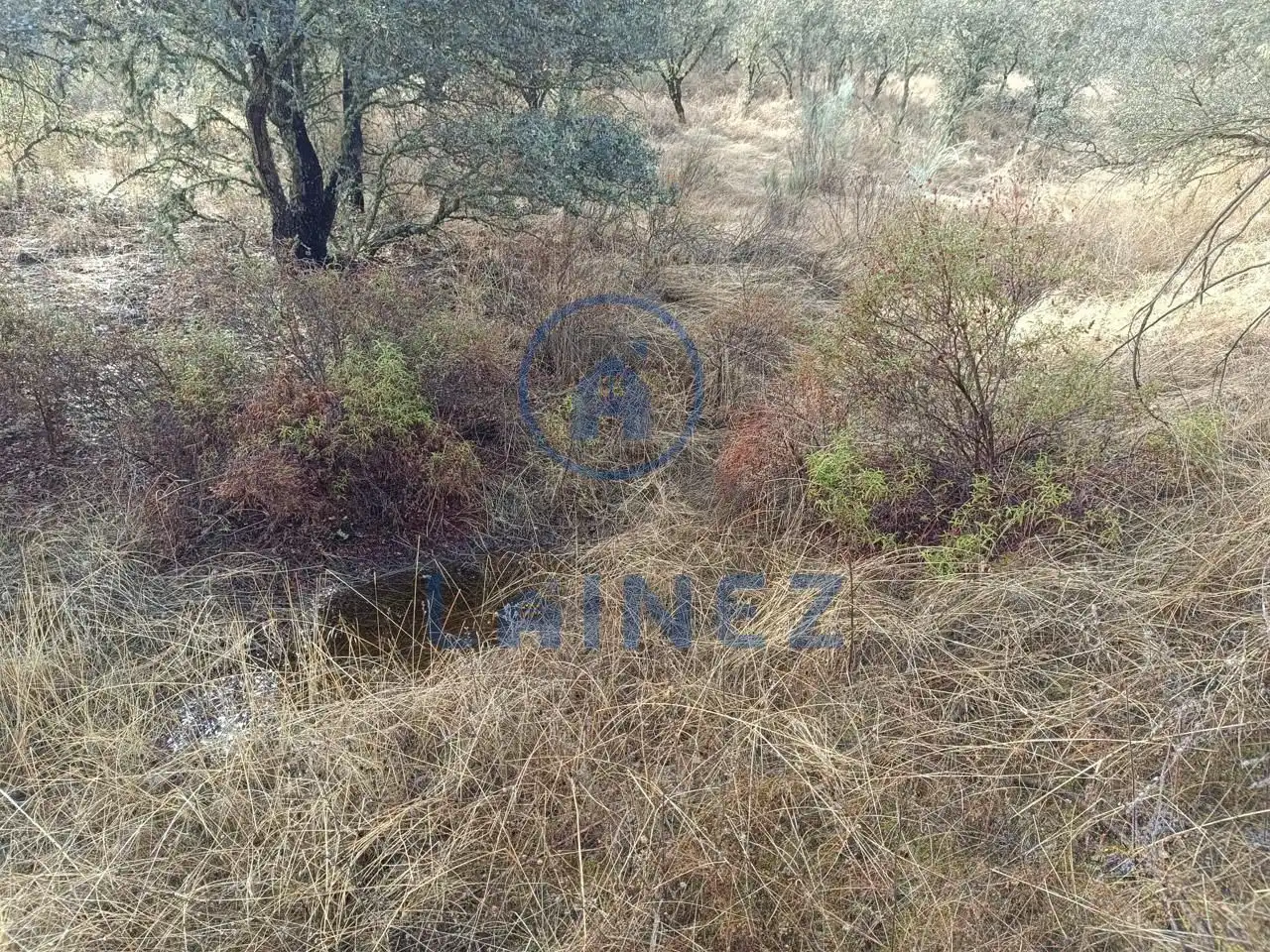 Lands and plots for sale in Espiel, imagen 9