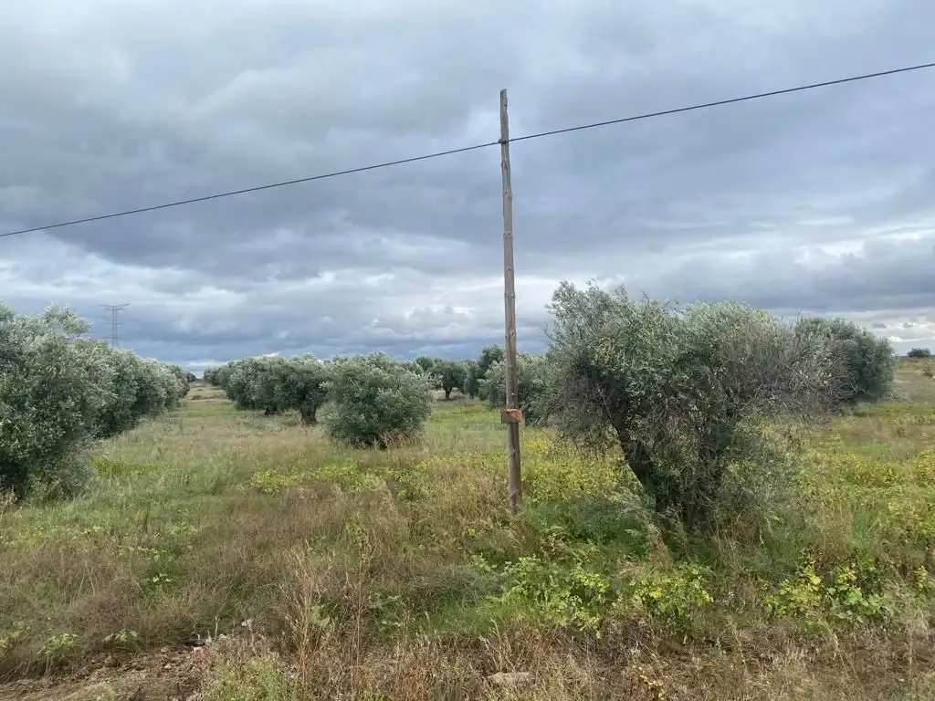 Casa rústica en venta en Villa del Prado, imagen 6