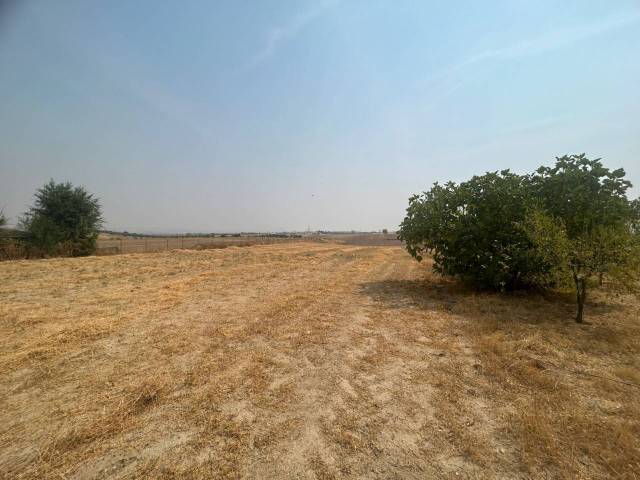 Terreno en Venta en 7 en Olías del Rey