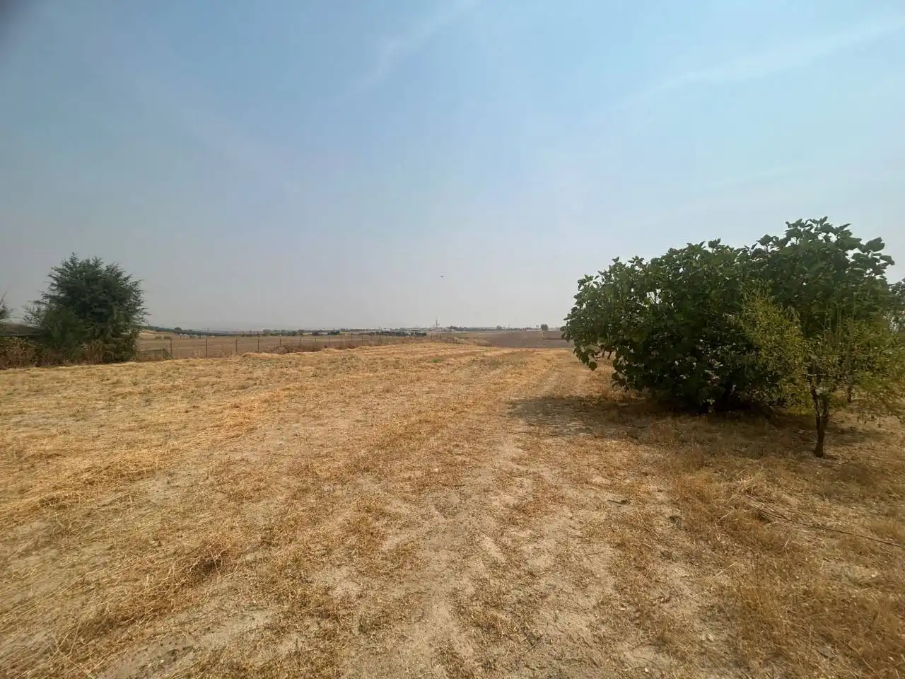 Terreny rústic en venda a 7