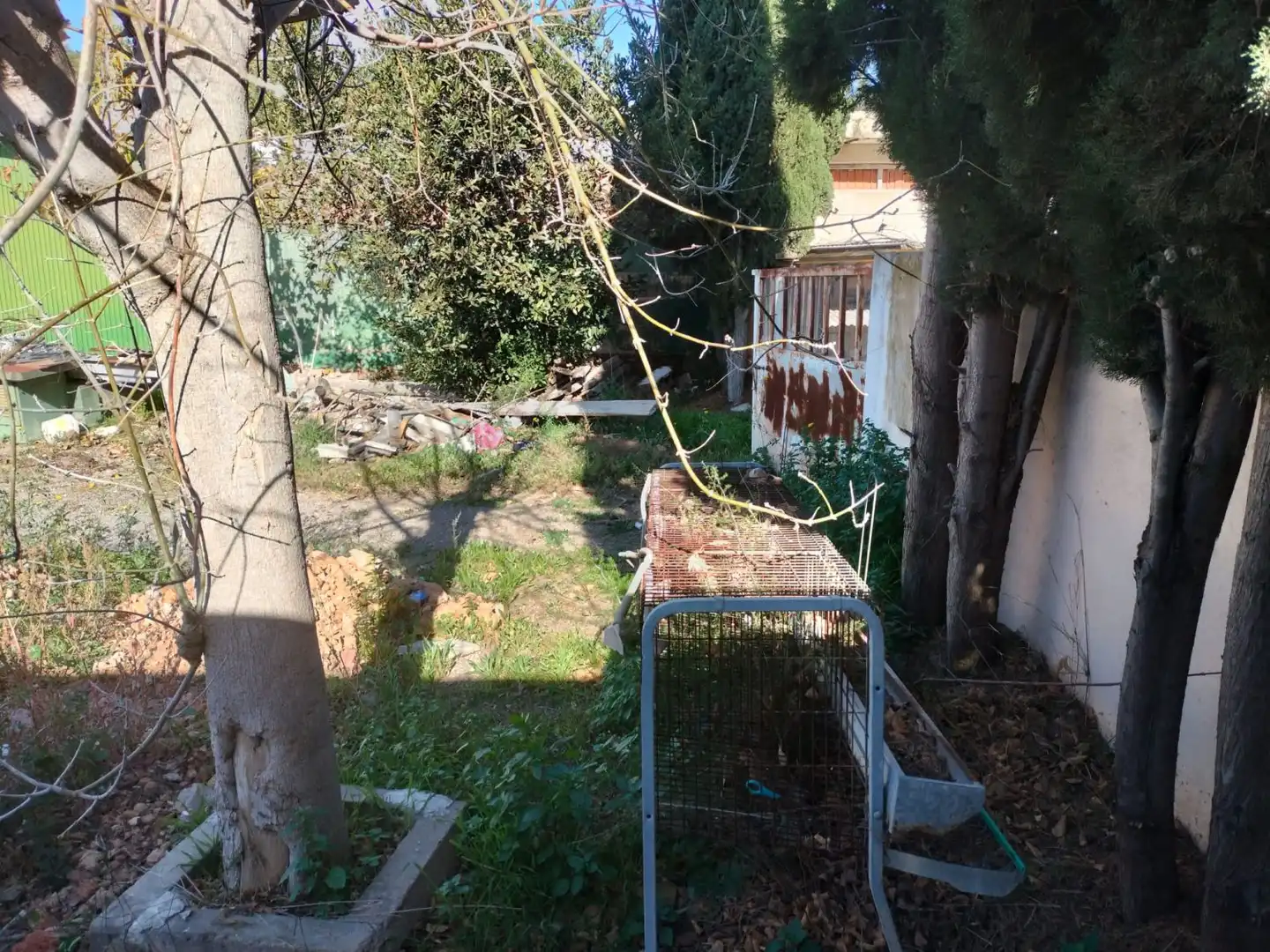 Garden of Industrial buildings for sale in Castellón de la Plana / Castelló de la Plana