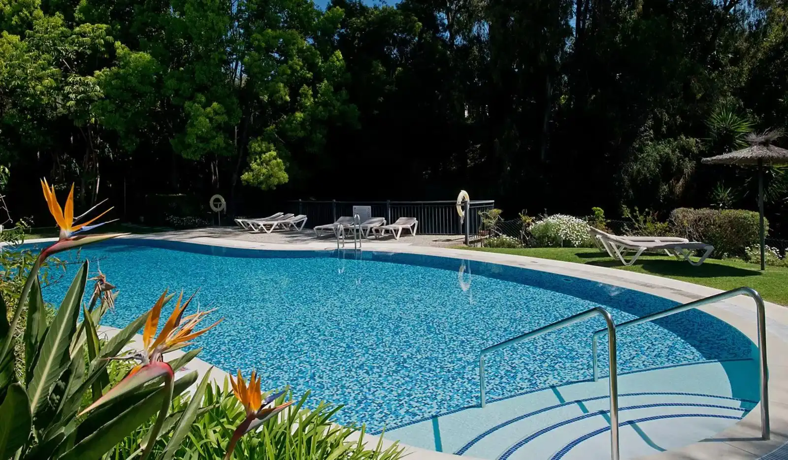 Swimming pool of Flat for rent in Benahavís  with Air Conditioner, Storage room and Furnished