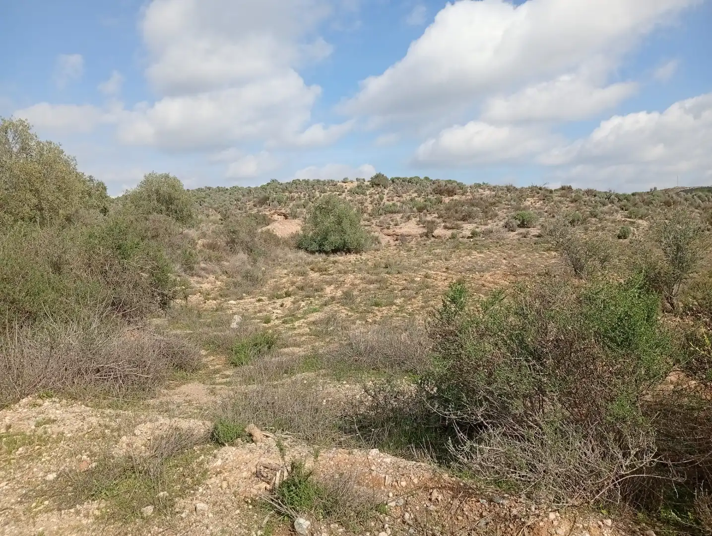 Terreny en venda a Rambla La Higuera, Albox