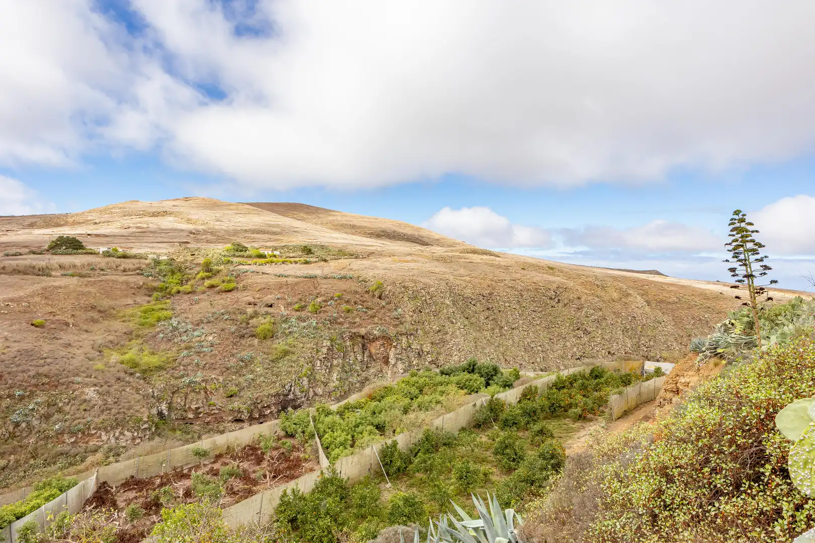 Residencial en venta en Lugar Lomo del Poleo, Saucillo - Fagajesto - Juncalillo