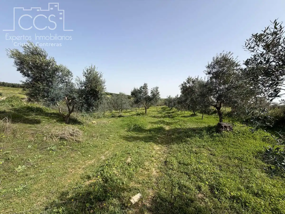 Country homes for sale in Pilas  with Swimming Pool