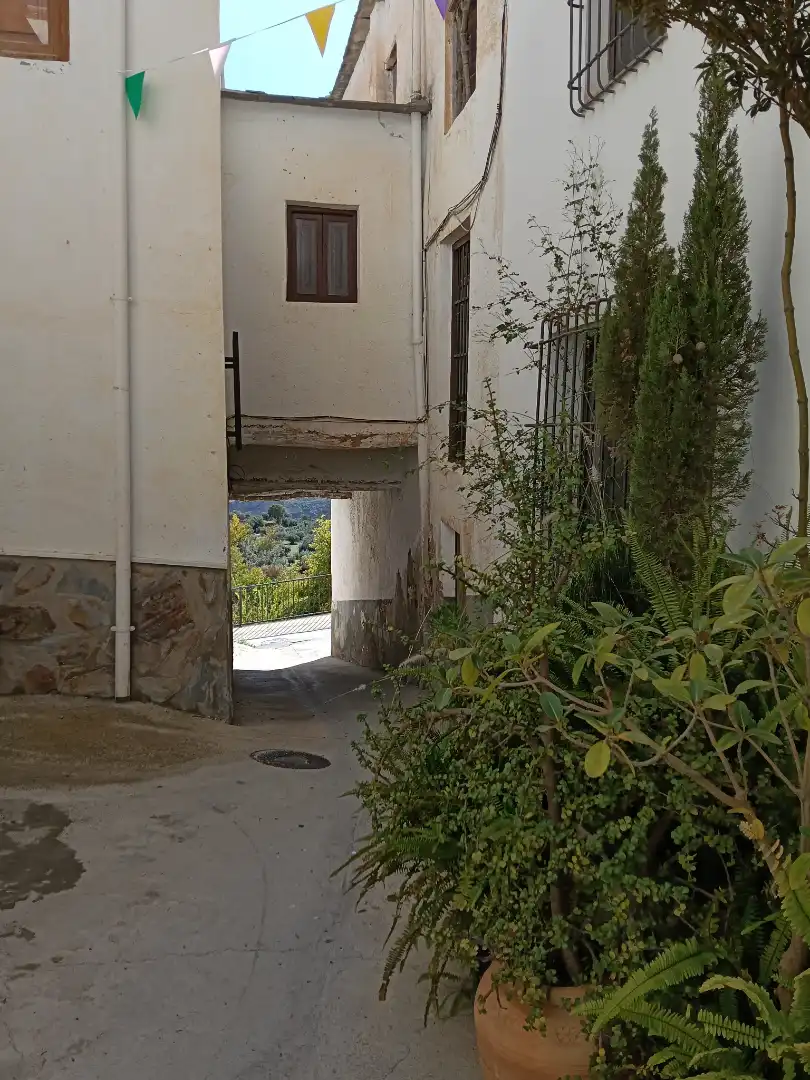 Vista exterior de Casa adosada en venta en Válor con Terraza, Trastero y Horno
