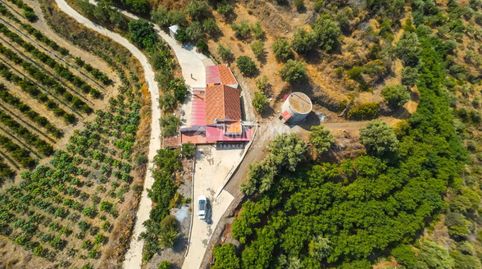 Foto 2 de Finca rústica en venda a Avda Pescia - Ctra de Frigiliana, Nerja
