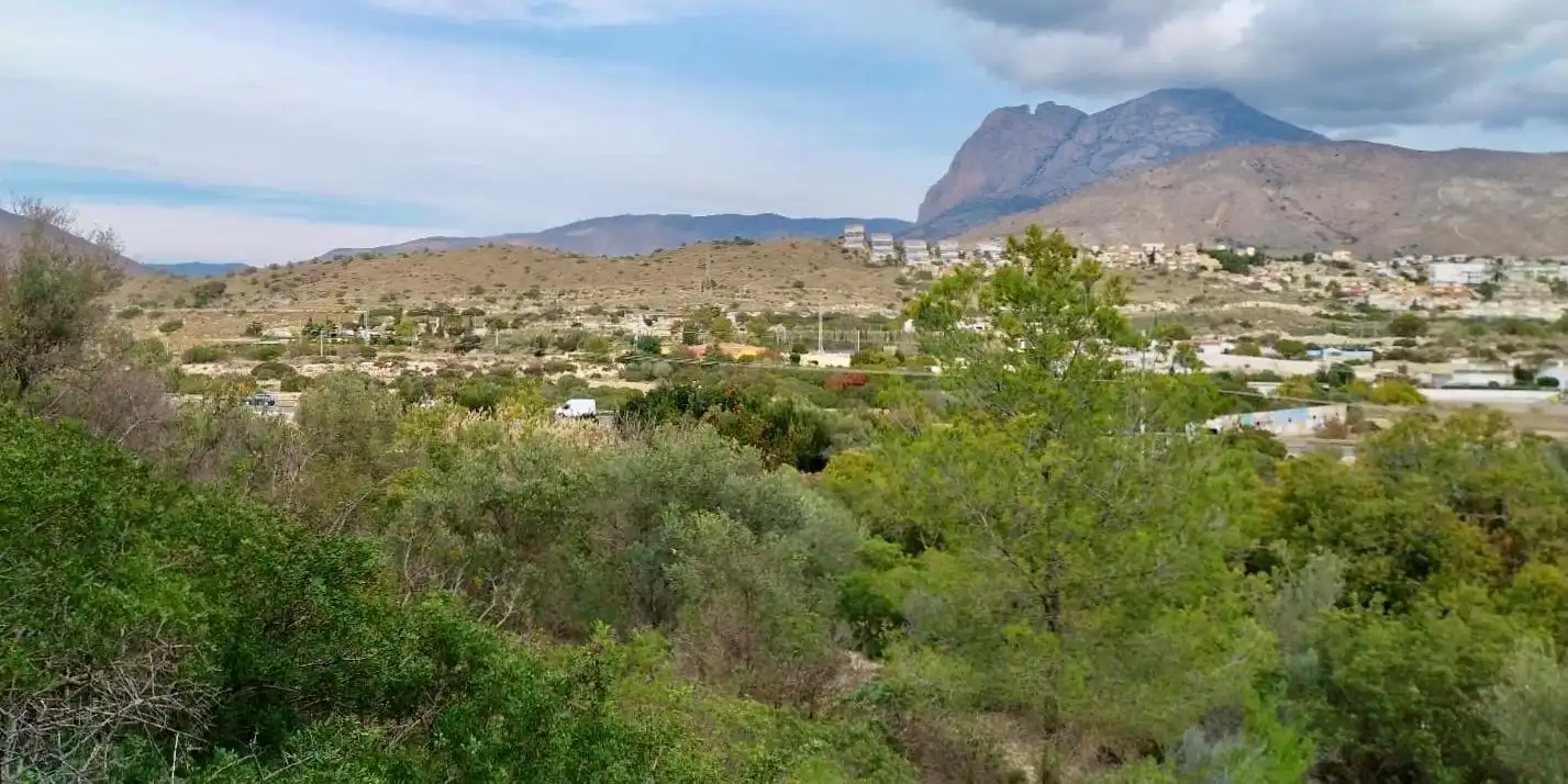 Terreno rustico in vendita a Platja de Torres, imagen 22