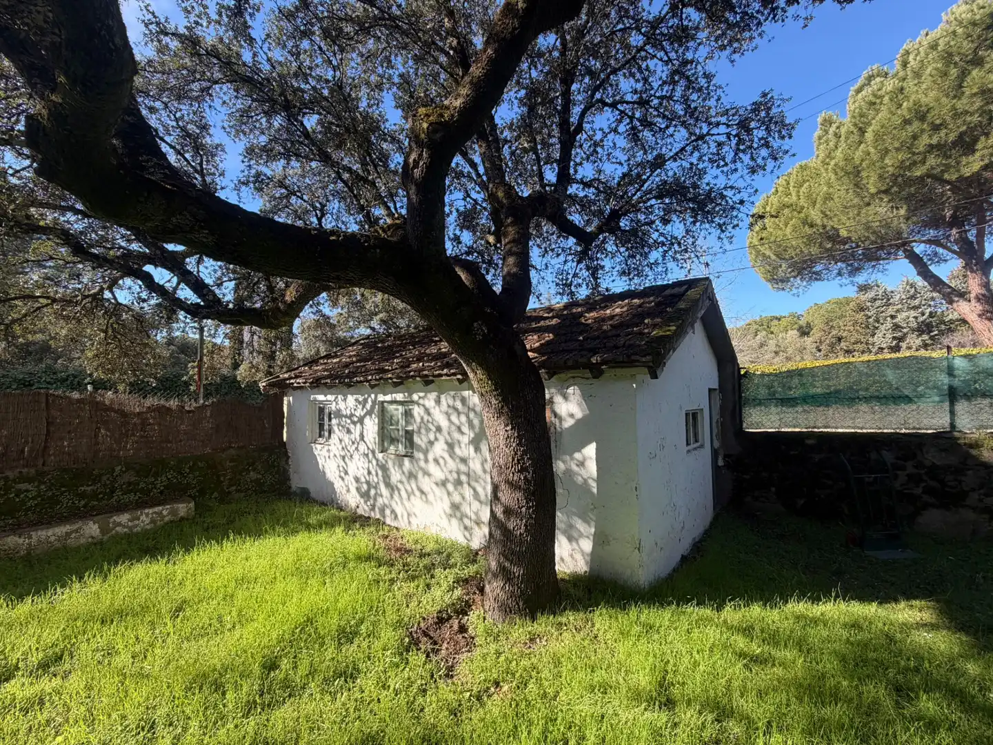 Vista exterior de Casa o chalet en venta en Torrelodones con Calefacción, Jardín privado y Trastero