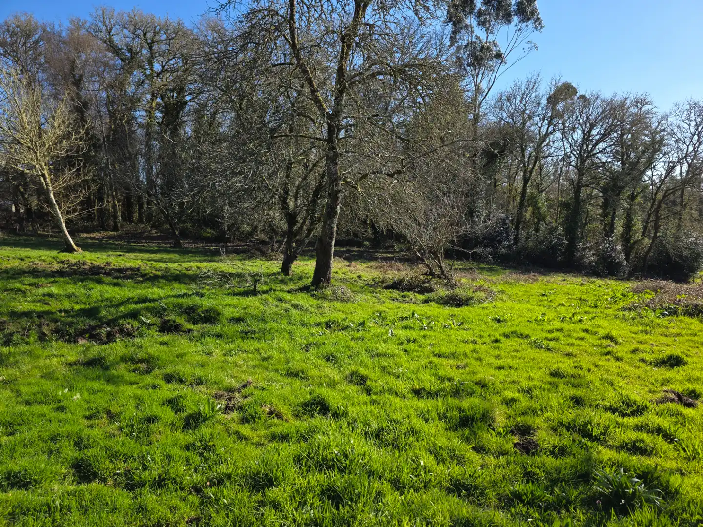 Finca rústica en venta en Xermade con Jardín privado