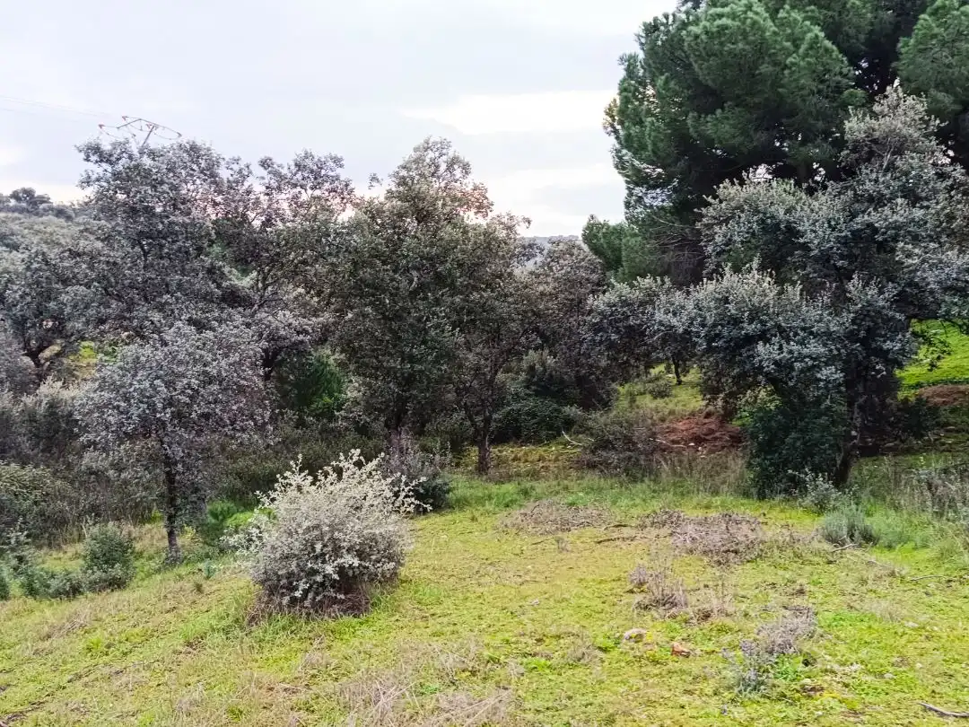 Residencial en venda en Villa del Prado, Madrid