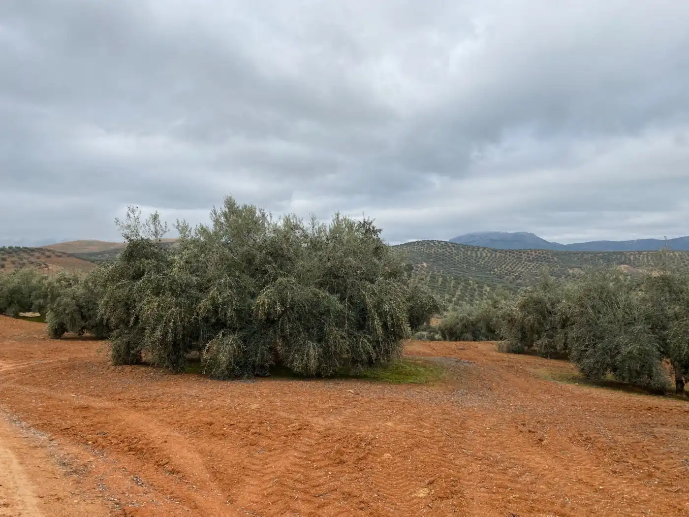 Casa rustica in vendita a Huétor Tájar, imagen 26