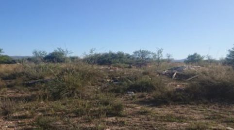 Foto 3 de Terreno en venta en Carretera la Parroquia, Zarcilla de Ramos, Lorca