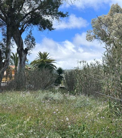 Foto 2 de Residencial en venda a Portada Verde - Lomo Espino - Guanche, Santa Brígida