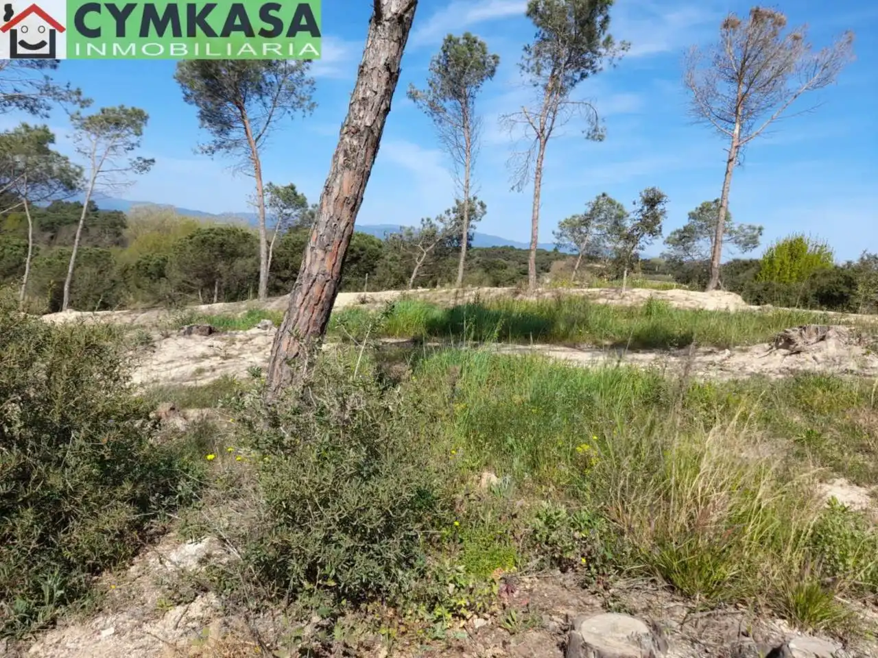 Residential land for sale in Montbarbat, imagen 9