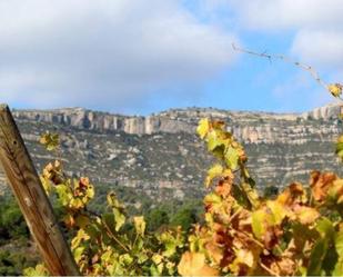 Exterior view of Residential for sale in Cornudella de Montsant