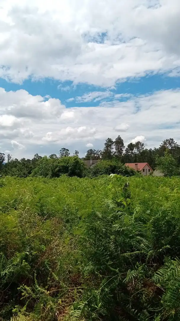 Terrenys i solars en venda a Salvaterra de Miño, imagen 8