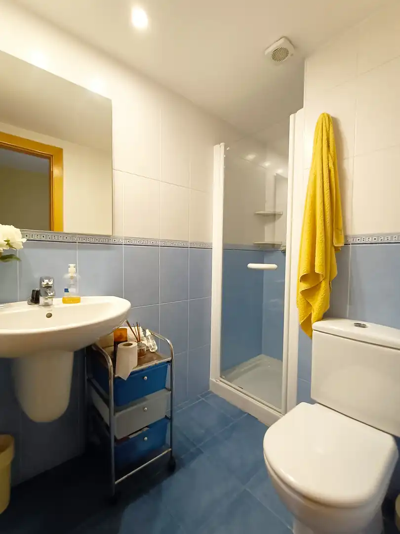 Casa o xalet en venda a Avinguda Vilafortuny, Vilafortuny