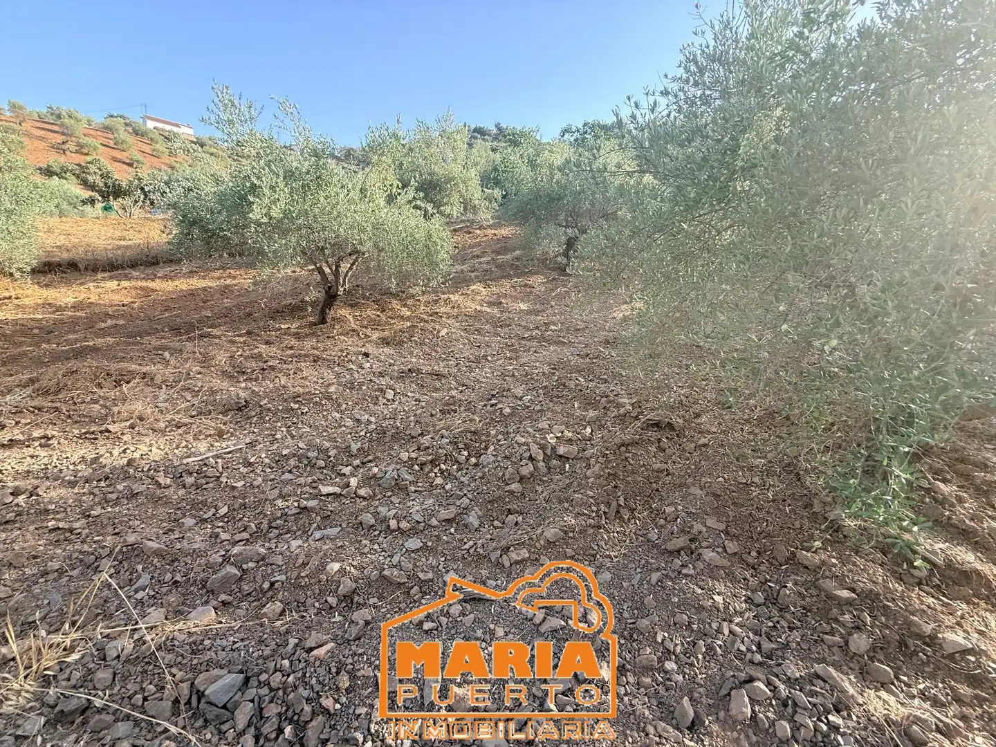 Terreno rustico in vendita a Almogía, imagen 6