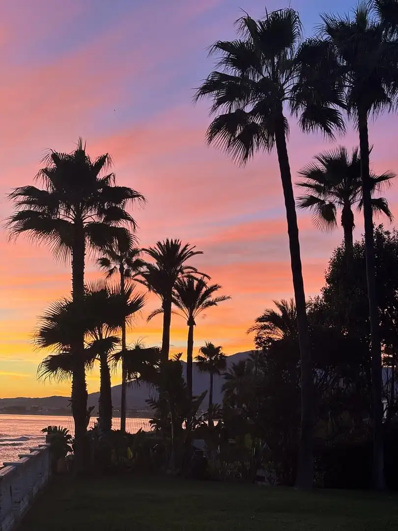 Vista exterior de Casa o xalet de lloguer en Estepona amb Aire condicionat, Jardí privat i Terrassa
