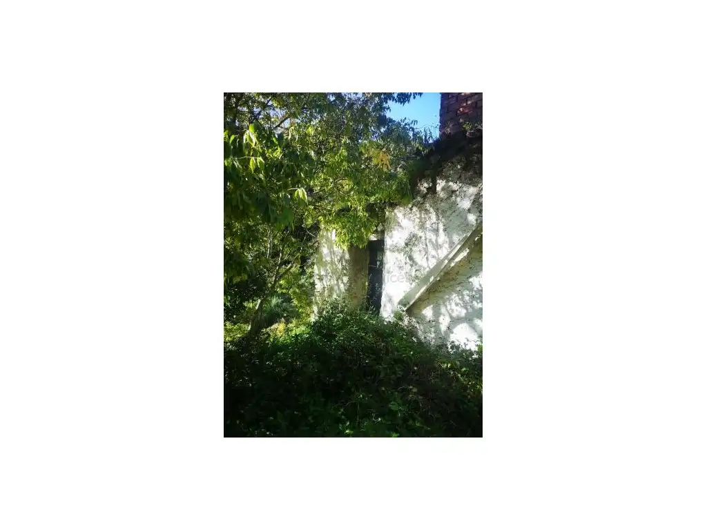 Jardí de Casa o xalet en venda en Genalguacil