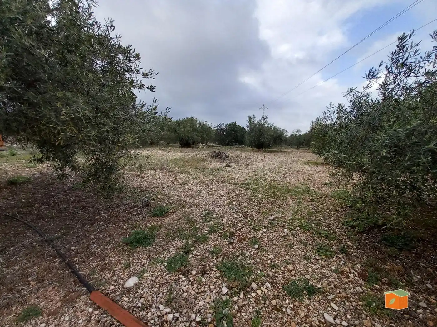 Terreno rustico in vendita a Alcanar, imagen 10