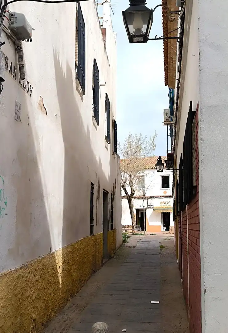 Vista exterior de Casa o chalet en venta en Córdoba con Calefacción, Terraza y Trastero