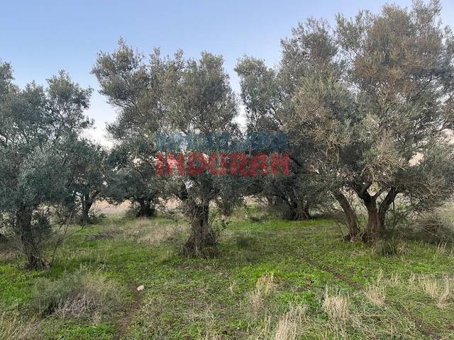 Casa-chalet en Venta en N/A en Saucedilla