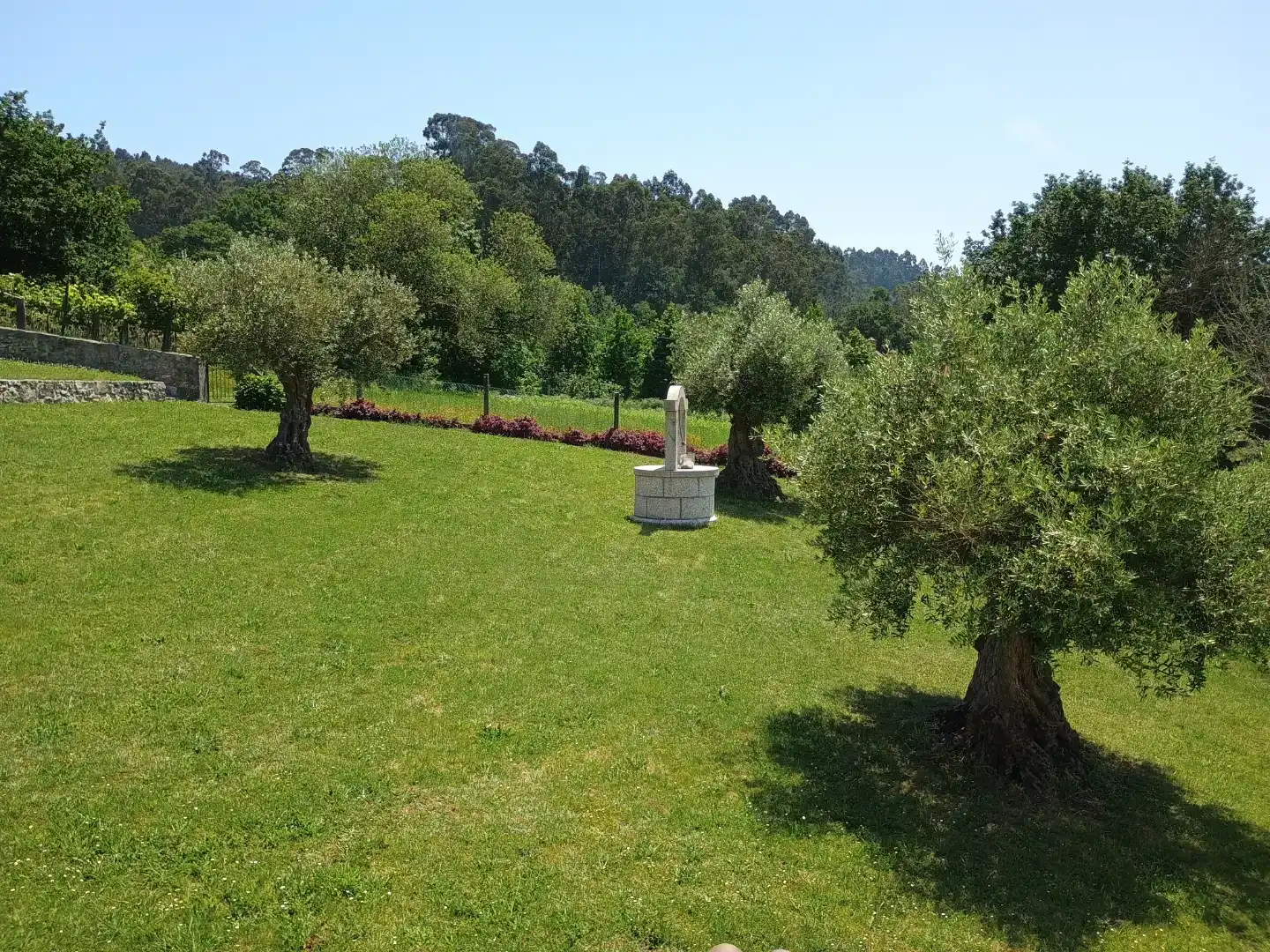 Jardí de Casa o xalet en venda en Moraña amb Piscina