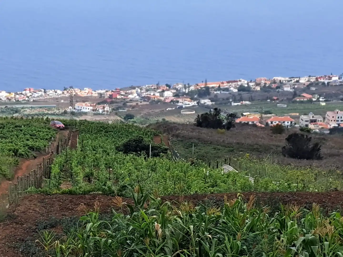 Rural land for sale in El Sauzal, imagen 36