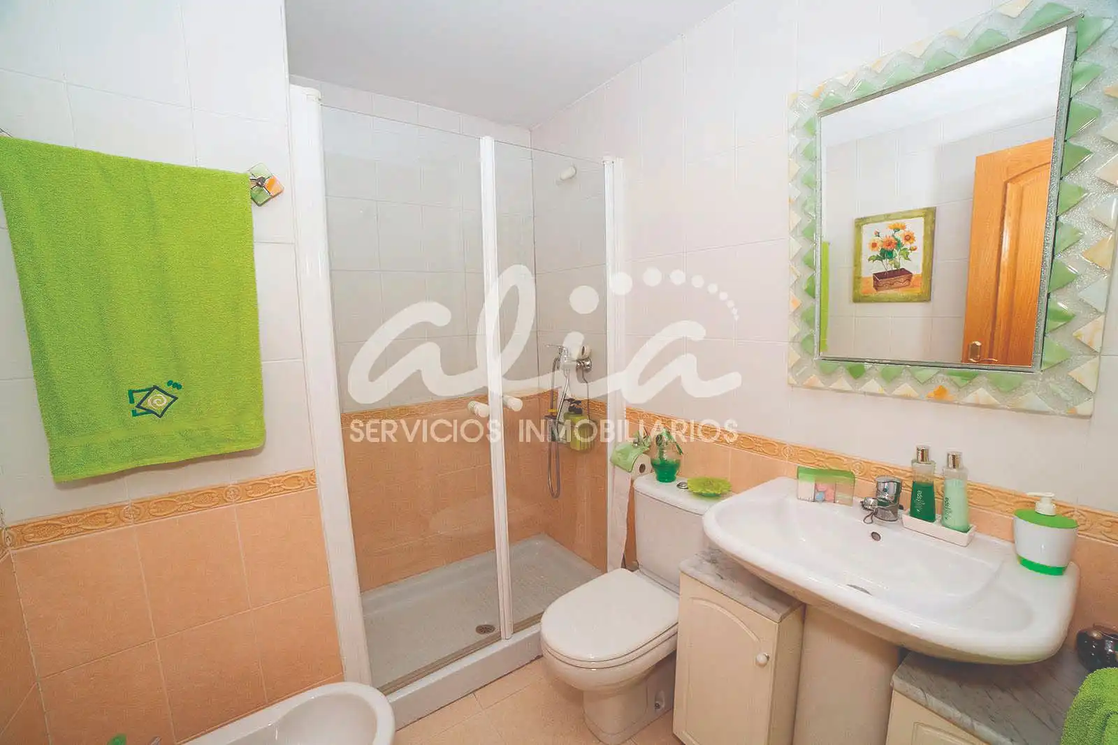 Bathroom of Detached homes for sale in Pinto  with Air Conditioner, Heating and Terrace
